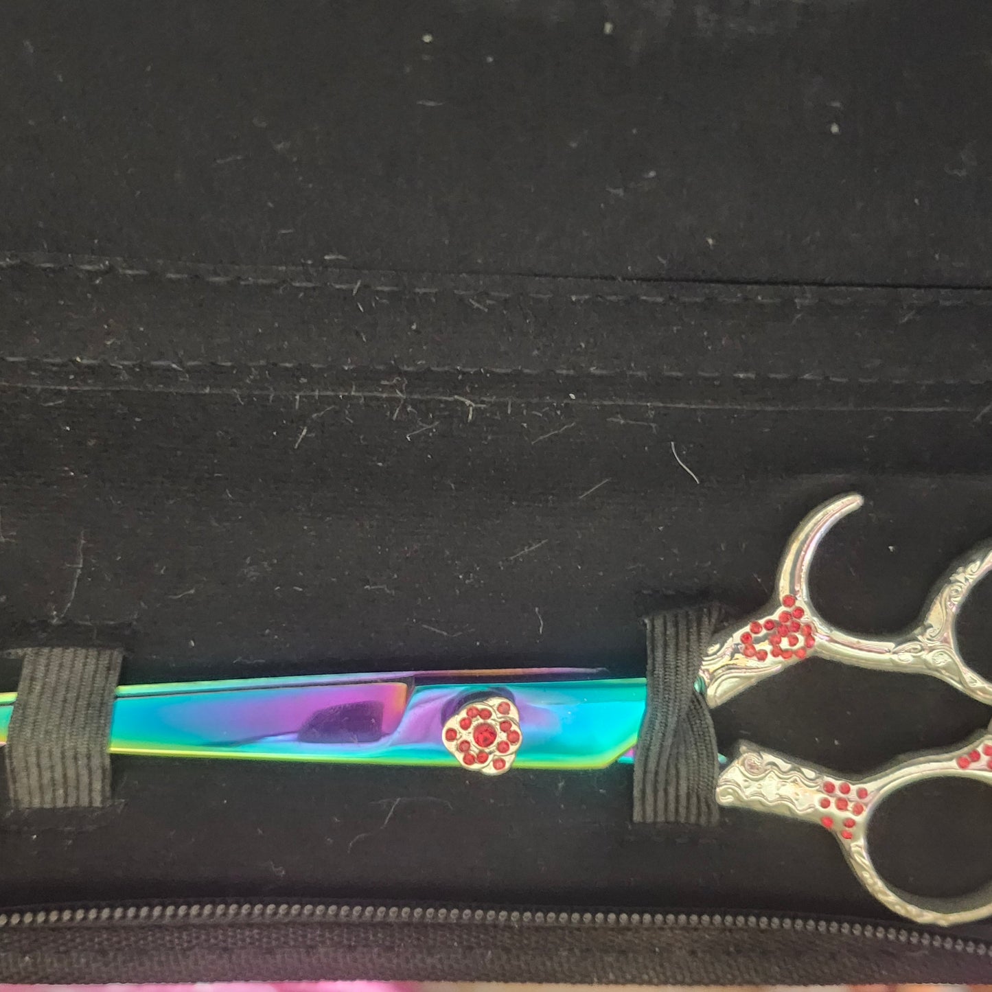 Shears, FANCY 6"