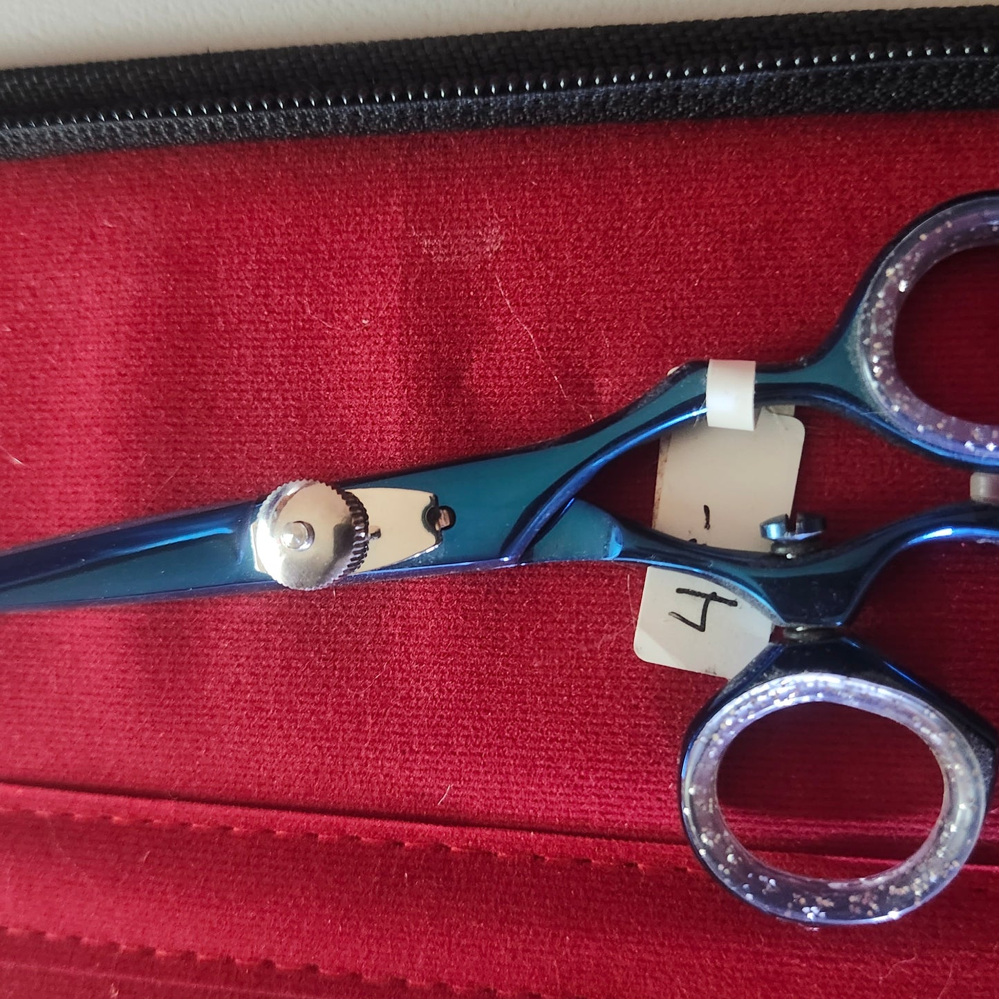 Shears, Blue Swivel Small (5.5")